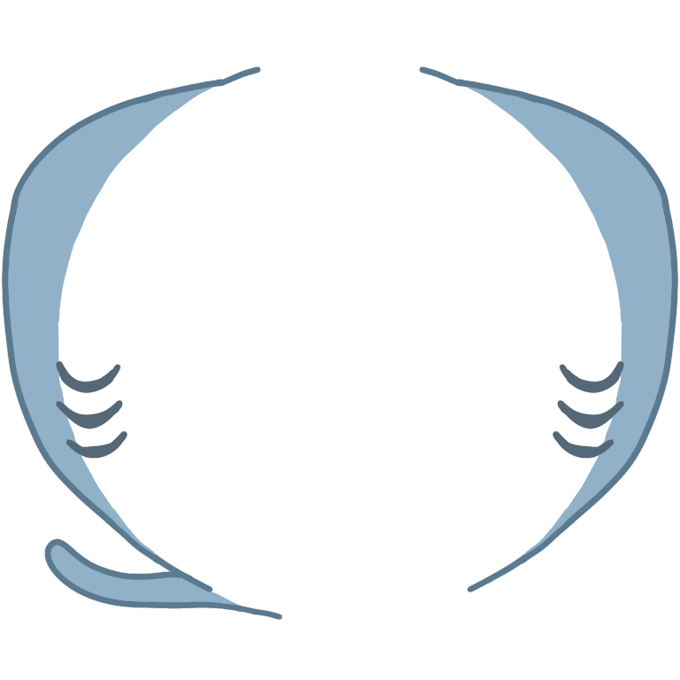 Akilah Decoration