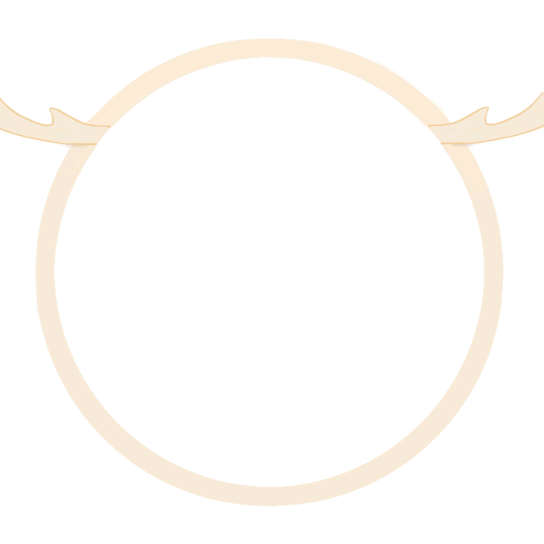Antler Decoration