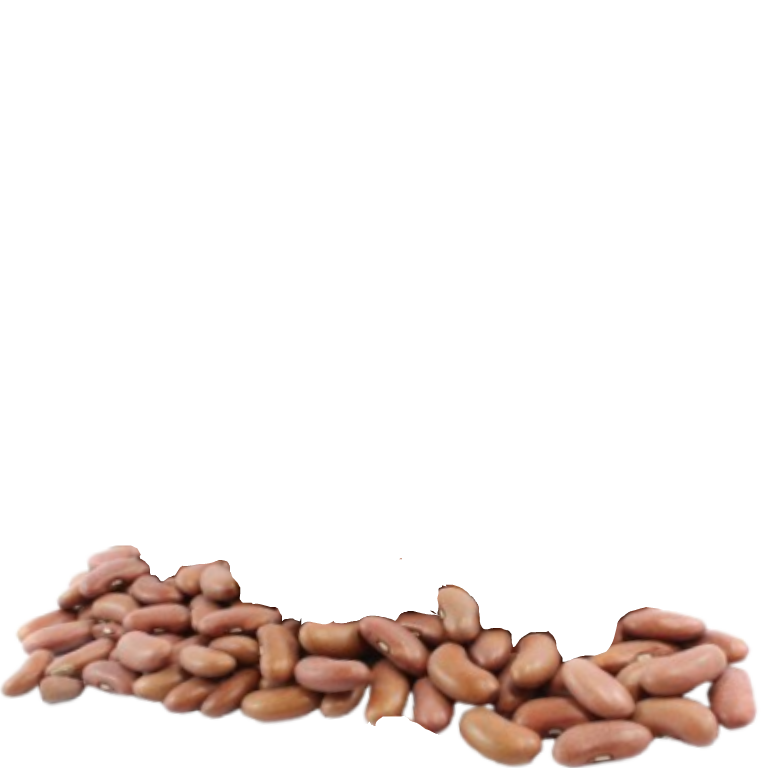 beans Decoration