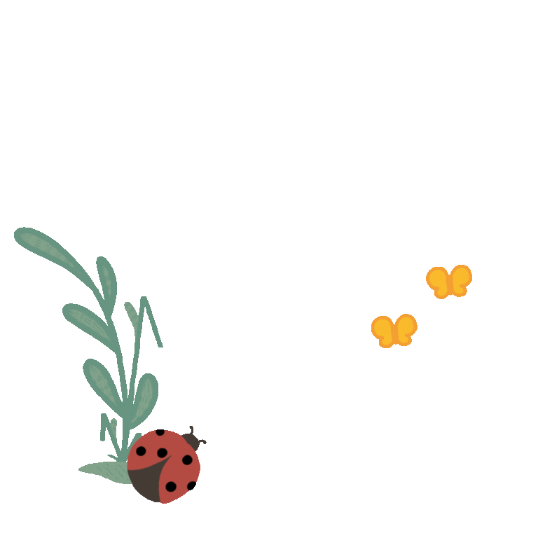 Ladybug Decoration