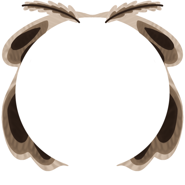 Moth